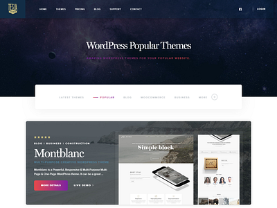 Tesla Themes WordPress - Design and Development by Mobiteam design themes ui uiux ux web design agency wordpress design