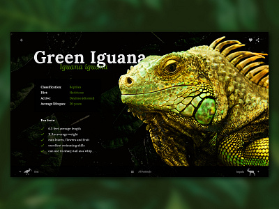 Green Iguana Educational Web App Page