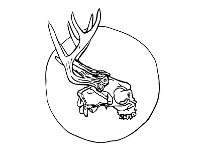 Deer Skull black drawing illustrator skull vector white