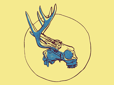 Deer Skull with Color art illustrator skull vector