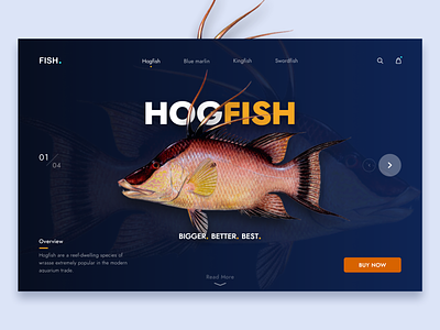 Fish Landing Page / Product Page clean fish landing page landing page ui minimal product page sketchapp ui design web page