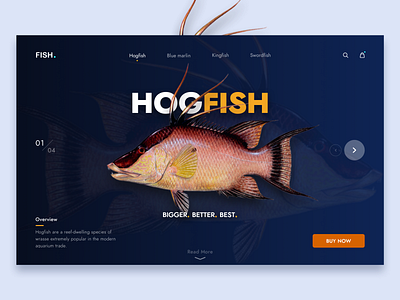 Fish Landing Page / Product Page