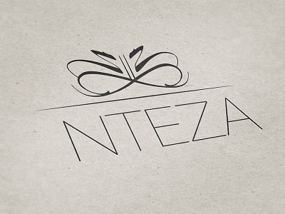 NTEZA design logo