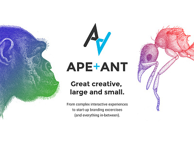 APE+ANT Redesign portfolio ui ux web