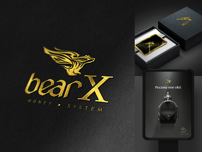 BearX - Money System - Branding