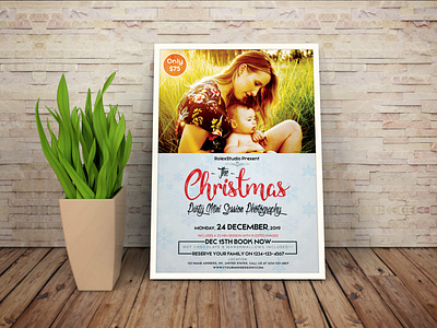 Christmas Mini Session Photography Marketing  Template Board