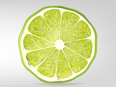 Lime Slice citrus clean creative design drop fresh green illustration isolated juice lime natural realistic slice smart stylish tempalte vector