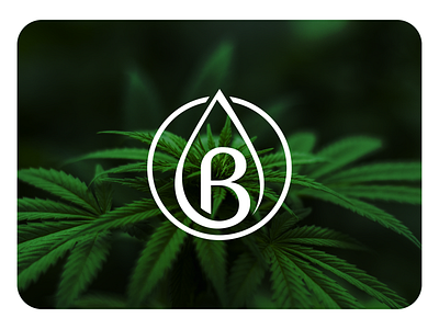 Bazi - Cannabis Tinture Logo Design b branding cannabis classy clean combination creative design drop elegant emblem hemp letter line logo logotype mark mix oil tinture
