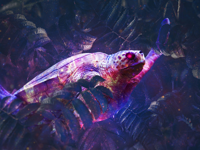 AQUA - Turtle compositing digital art fantasy glow leaves lights photocomposition photomanipulation photoshop sea turtle universe wallpaper
