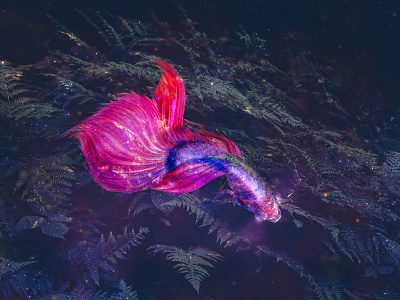 AQUA - Fishy aqua compositing digital art fantasy fish glow lights photocomposition photomanipulation photoshop sea universe wallpaper