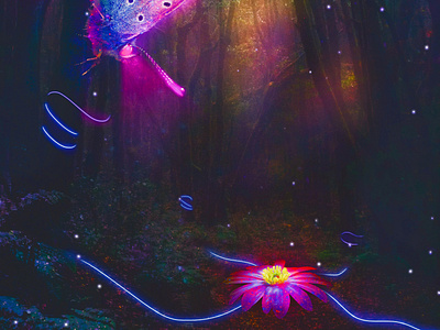 Dream Lights art butterfly colors compositing digital art fantasy flower fog forest glow lights photocomposition photomanipulation photoshop wallpaper
