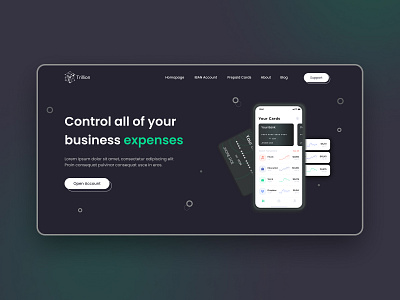 Trillion | Banking Landing Page by Kristina Slavtich on Dribbble