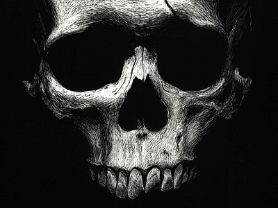 Scratchboard Skull black white fracture gothic graphic novel horror illustration phineas gage scratchboard skull
