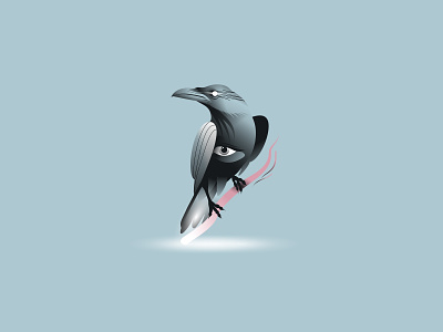 Raven illustration art bird character design eye icon illustration light raven vector