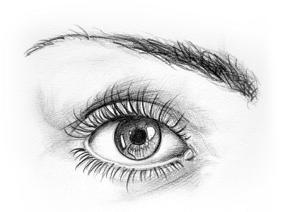 Eye sketch illustration