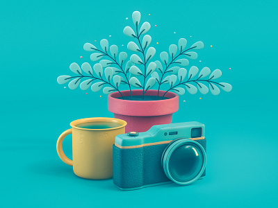 3D Still Life