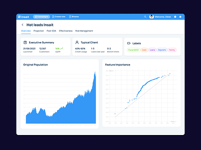 Insait Dashboard Design