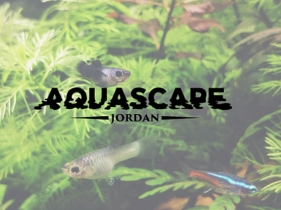 Aquascape logo. aquarium fish graphic design lettering sea typography