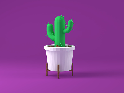 Cactus 3d c4d design icon illustration logo ui