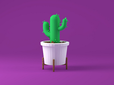 Cactus