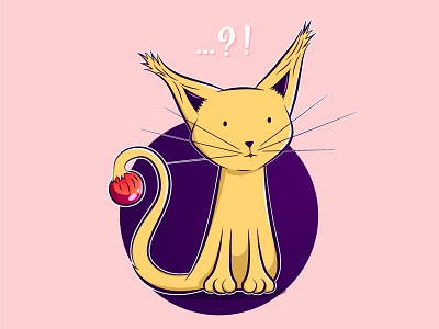 Pink Ball Cat