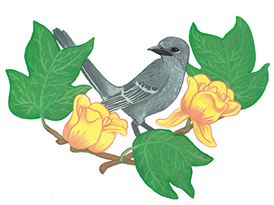 Mockingbird & Tulip Poplar birds gouache illustration