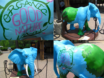 Cleveland Metroparks Zoo African Elephant Crossing hand lettering painting public art