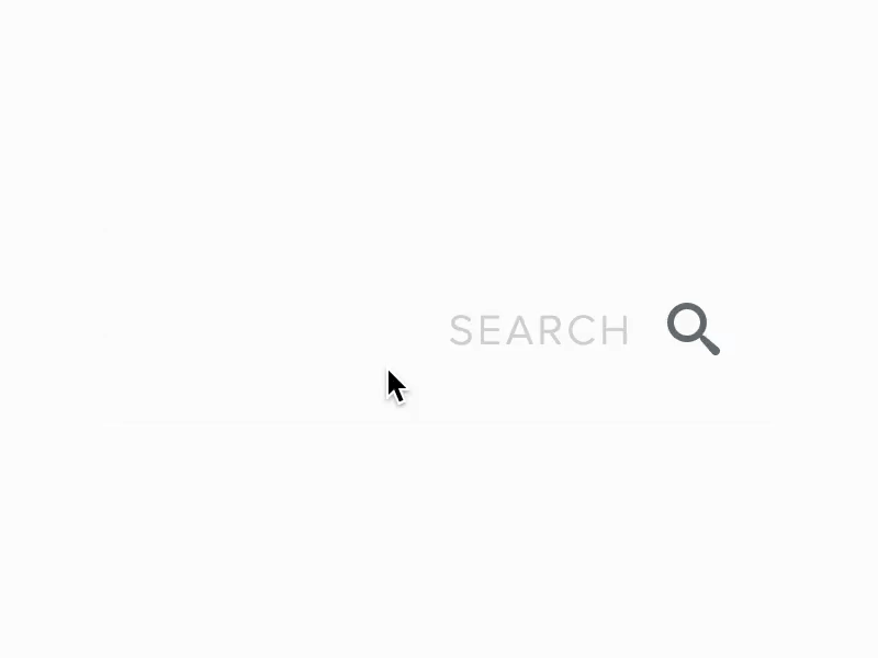 Octovis Search Bar v2 animation css octovis search