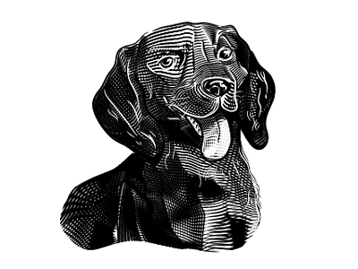 Venus ashurado beno ramirez dog engraving fine arts illustration portrait