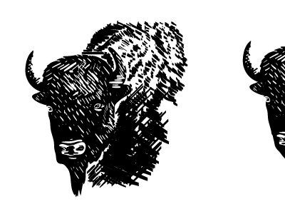 Buffalo Soldier branding buffalo engraving illustration simobol