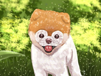Pomeranian animal character cute dog dog illustration illustration illustration art kids kidsillustration pet pomeranian