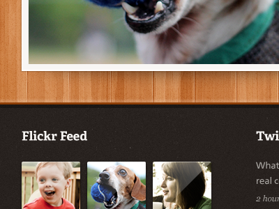 Photo Theme Snippet - Flickr Feed footer gallery photography texture theme web web design website wood wordpress