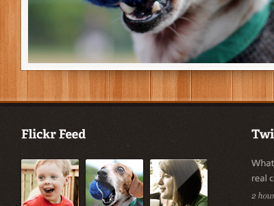 Photo Theme Snippet - Flickr Feed