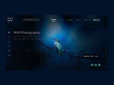 wild bird adobe xd bird blue branding dailyui design dribbble nature nature photography photography ui ux web webdesign wildlife