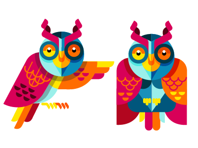 colorful owl animal cmyk colorful owl vector