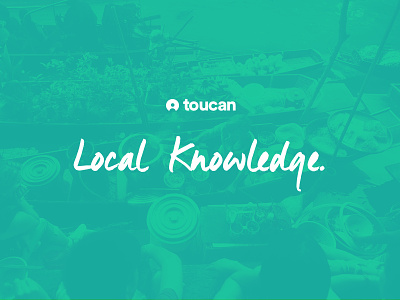 Toucan Branding branding color logo marketing spotify