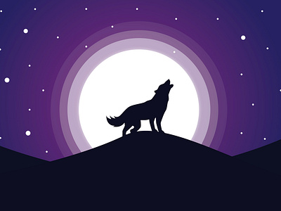 wolf - night illustration illustration