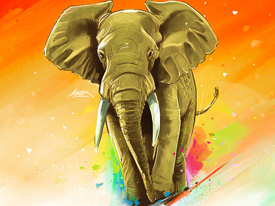 Elephant africa awax awax design colorful digitalpainting drawing elephant illustration illustrator ivory ivorycoast pachyderme sketch