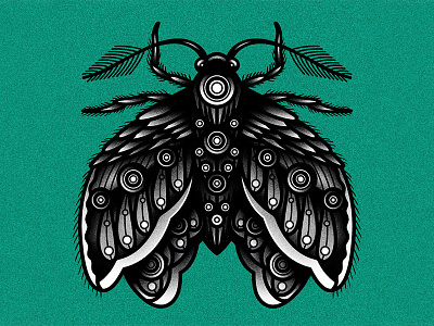 Moth art blackwork design drawing graphic illustration moth tattoo traditional vector