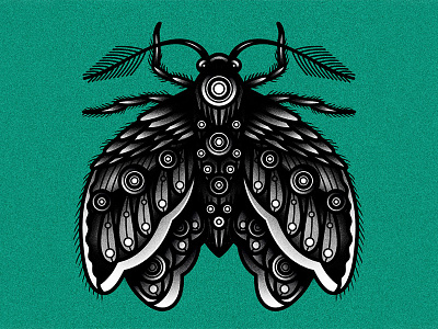 Moth art blackwork design drawing graphic illustration moth tattoo traditional vector