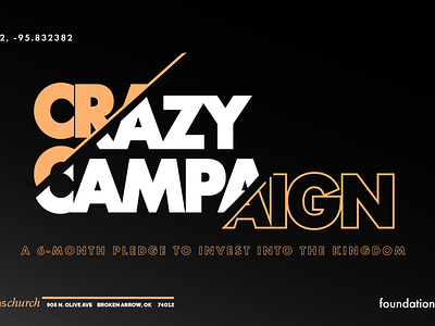 Crazy Campaign brand branding design graphic design