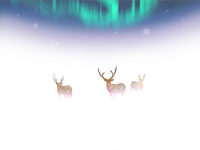 ❄️ abstract animal art artist artwork aurora borealis branding christmas daily deer illustration design dribbbledaily illustration minimal minimalism northern lights santa simple ui winter