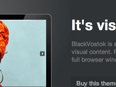 BlackVostok blackvostok portfolio theme wordpress