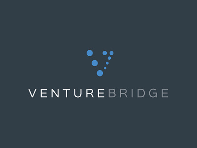 VentureBridge | corporate identity