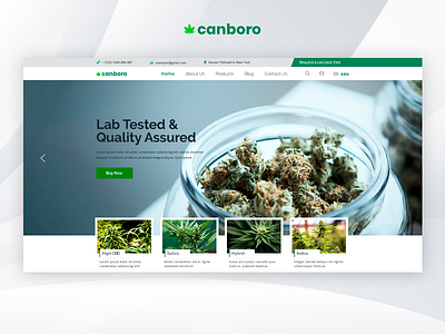 Canboro - Medical Marijuana Dispensary PSD Template cannabis creative design marijuana medical marijuana responsive theme forest