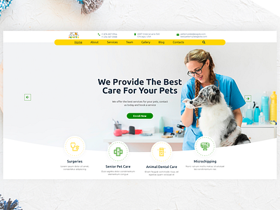 Pepitto - Pet Care, Shop, and Veterinary Project animal animal pet care cat dog pet pet care pet shop veterinary