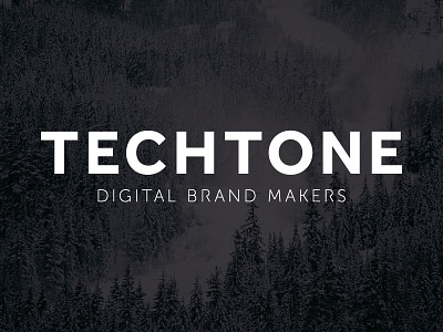 Techtone Logo Concept brand branding concept identity logo wordmark
