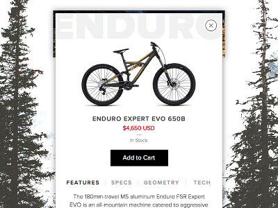 Product Pop Up bike card cart downhill ecommerce features modal responsive site specs ui