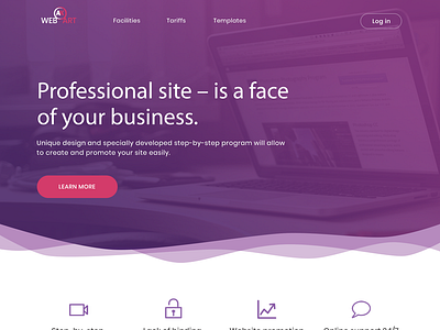 Professional Website Landig Page