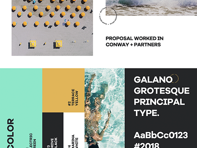 Bay Parc beach brand brand design brand identity branding branding design color design diseño identity identity design logo logotype visual design